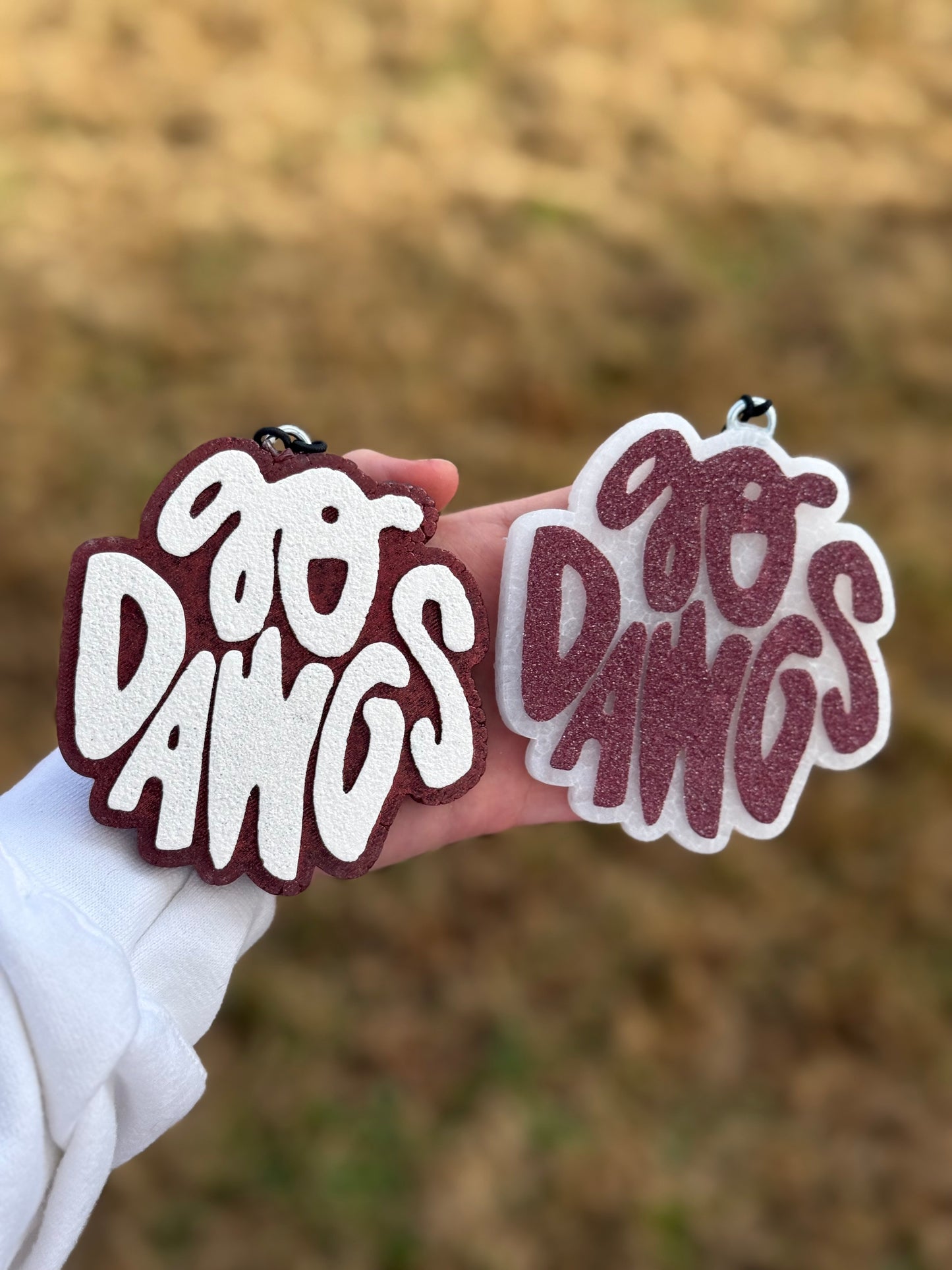 Go Dawgs | Custom Freshie