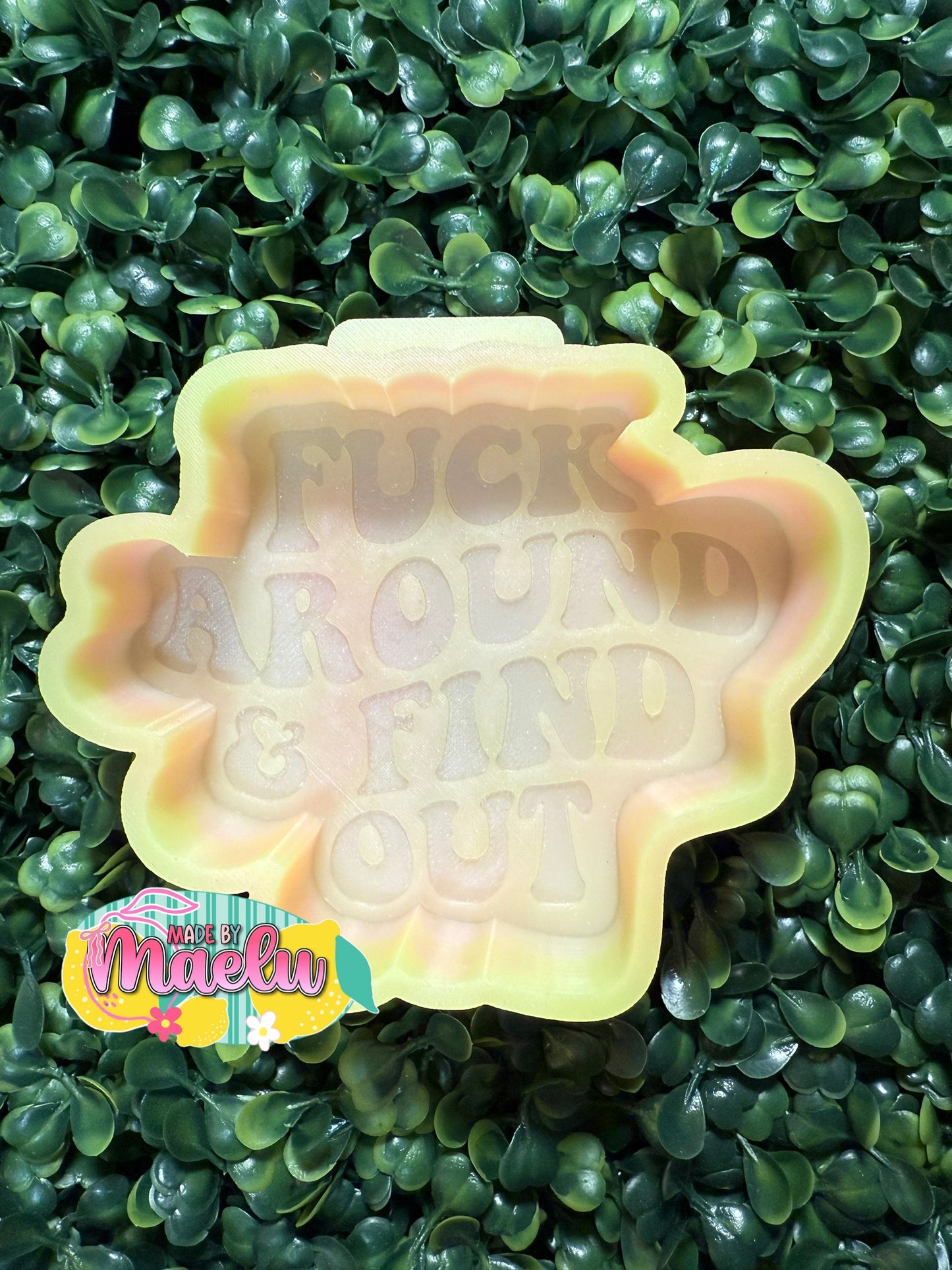 FAFO Freshie Mold | silicone freshie mold