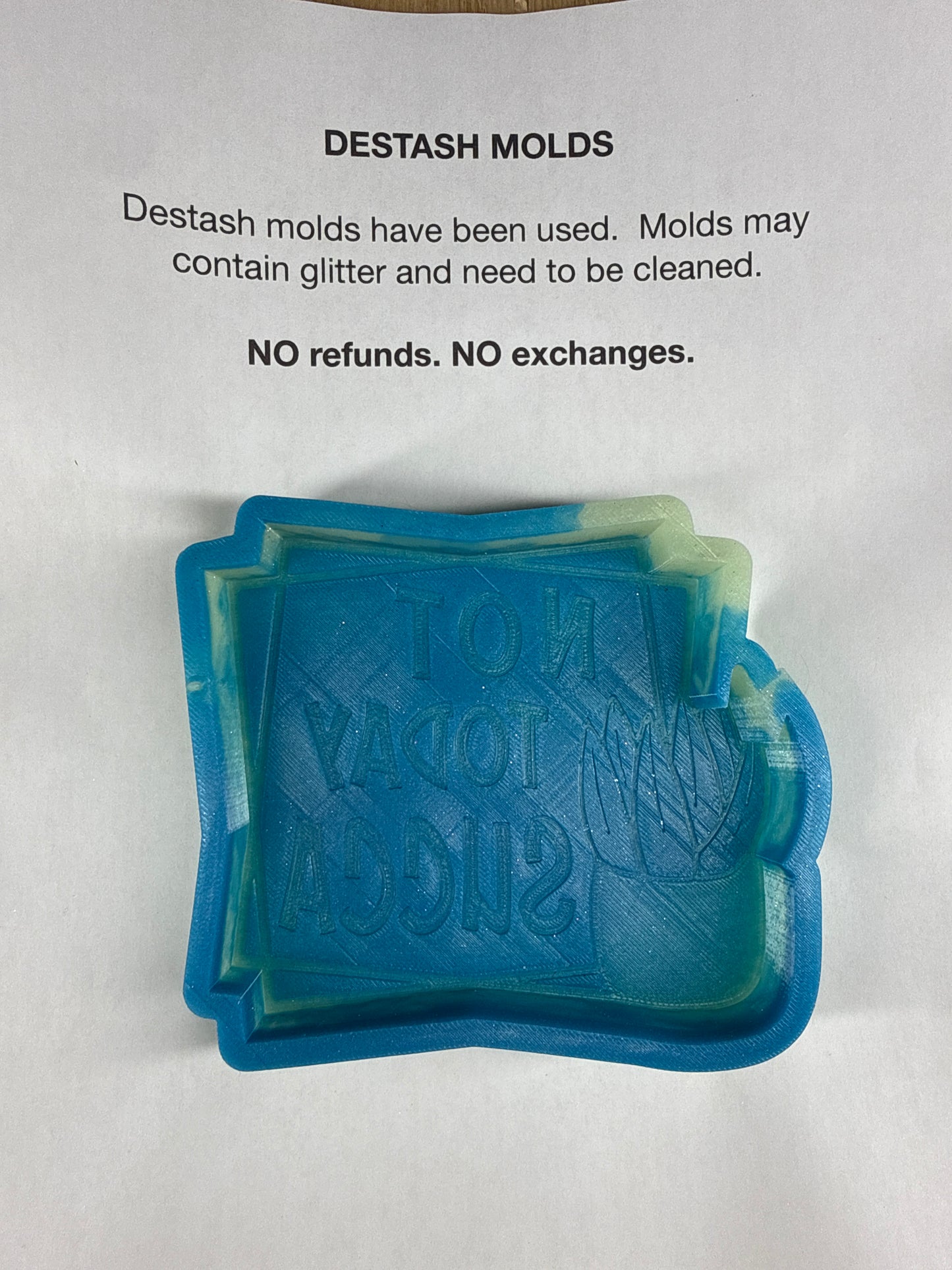 DESTASH Mold - (Large) Not Today Succa