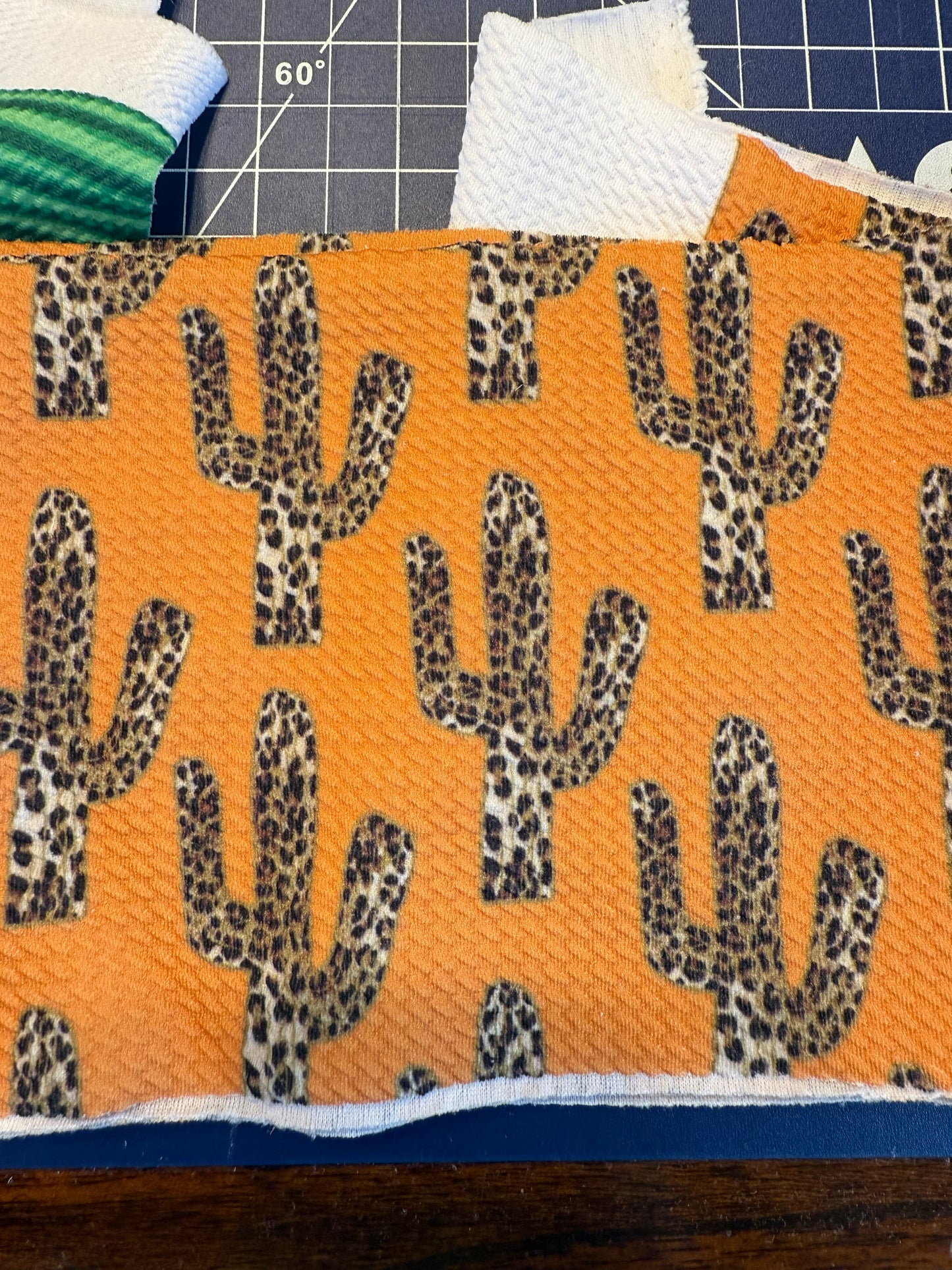 Burnt Orange with Leopard Cacti | Freshie Bows