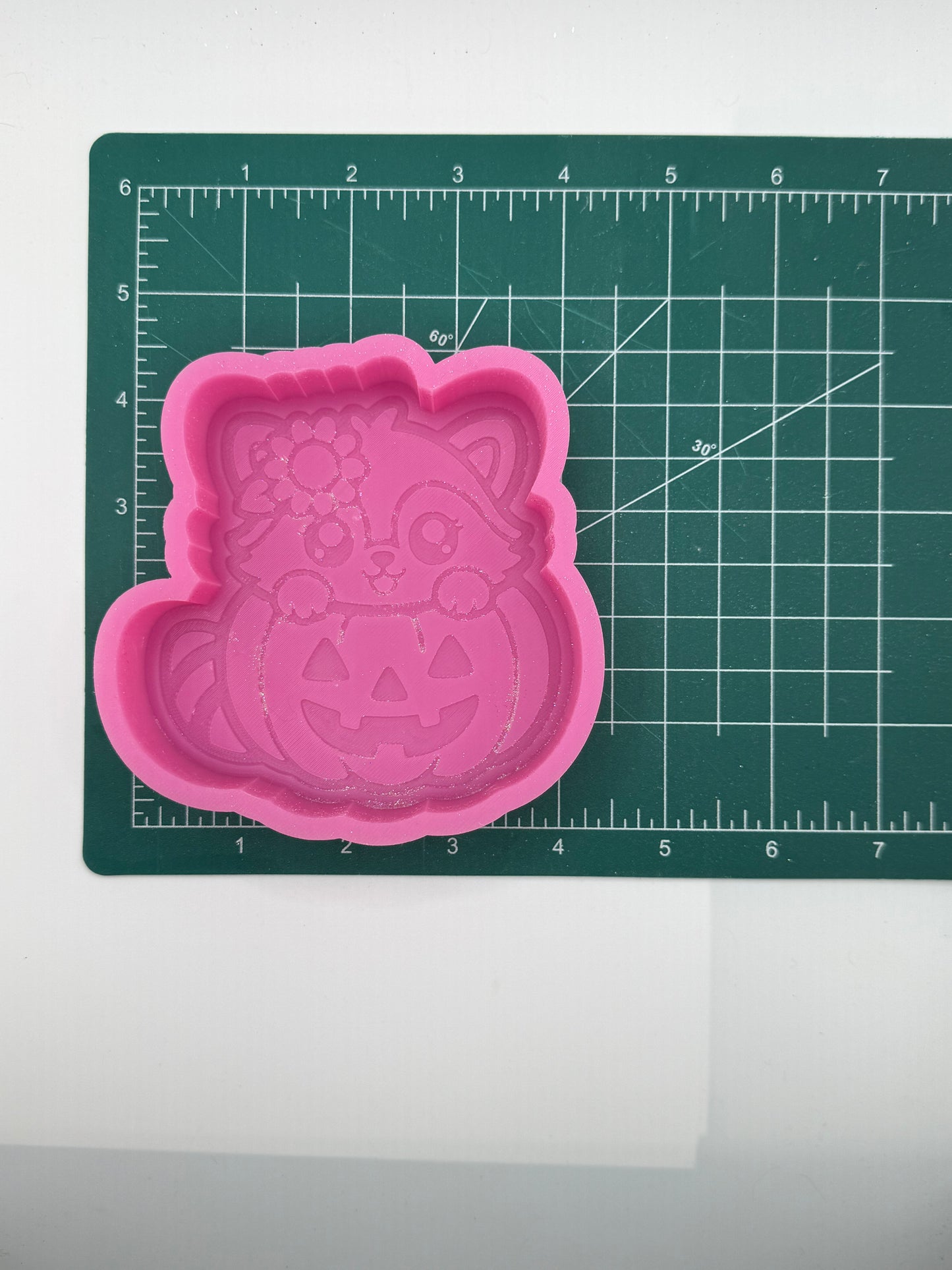Raccoon Pumpkin freshie mold | silicone freshie mold | F156