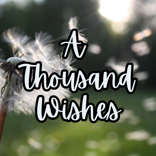 1000 Wishes | 1 pound | Scented Aroma Beads