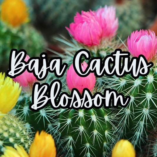 Baja Cactus Blossom | 1 pound | Scented Aroma Beads