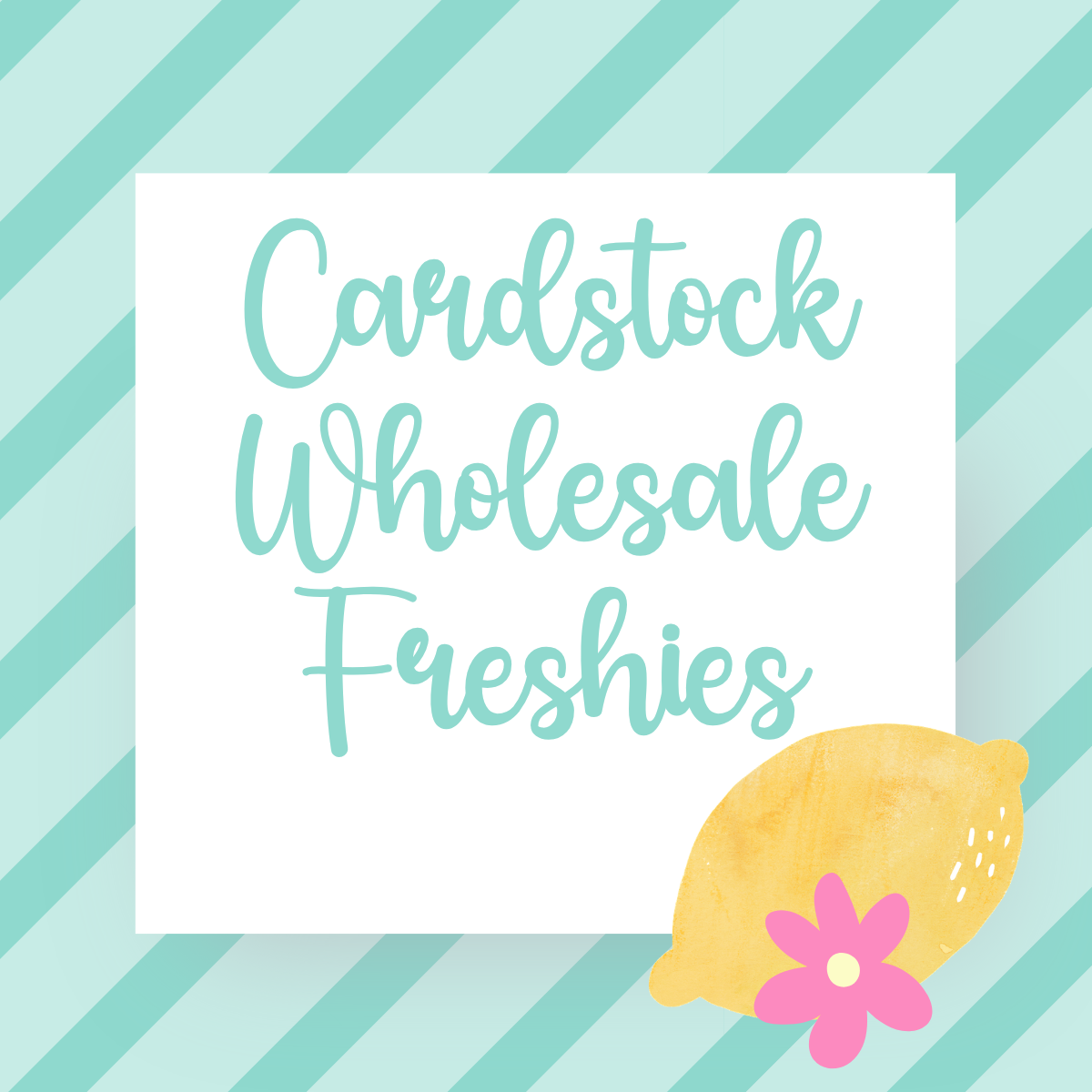 Cardstock Wholesale Freshies