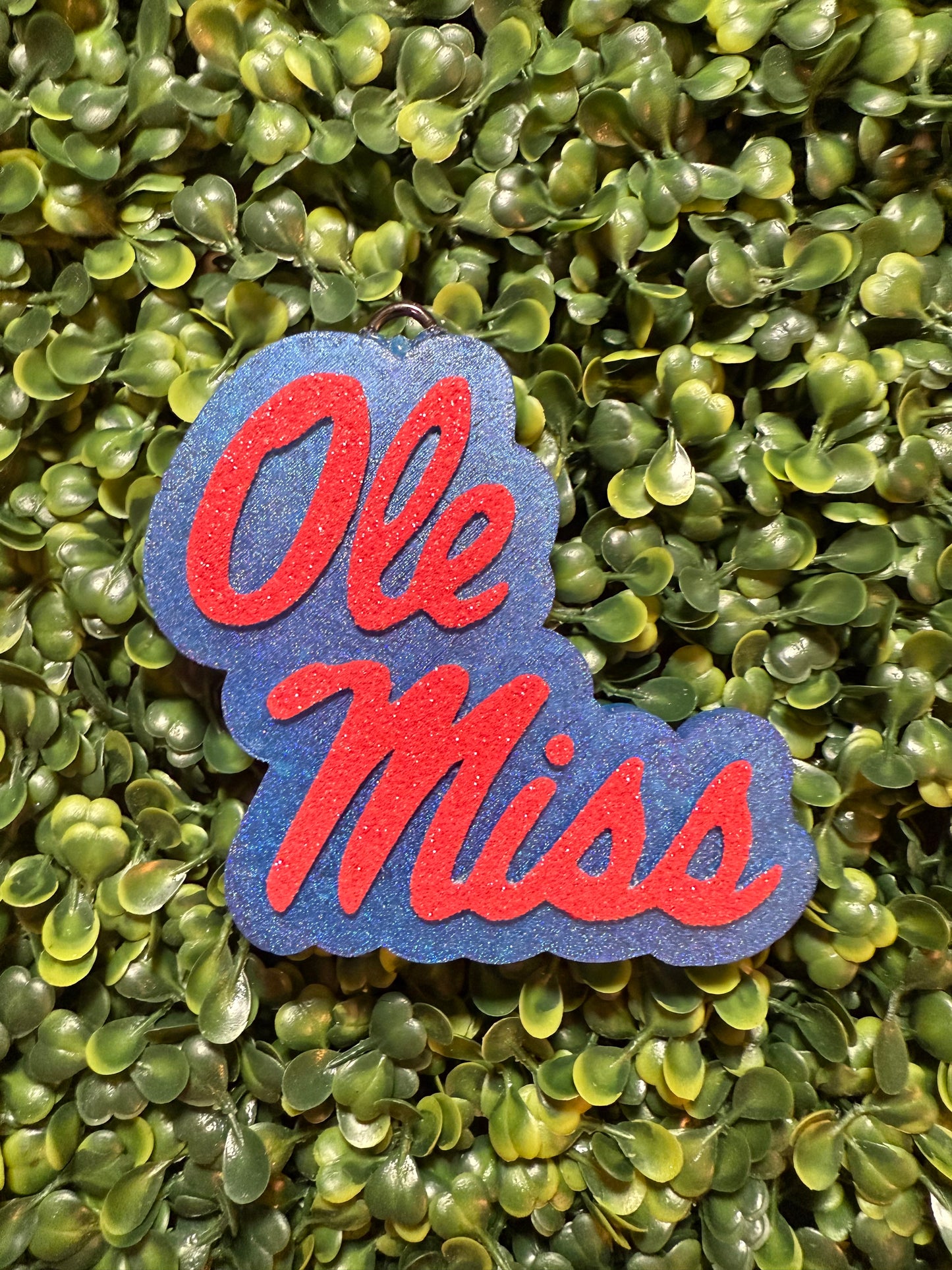 Mississippi Team Freshie | Freshie