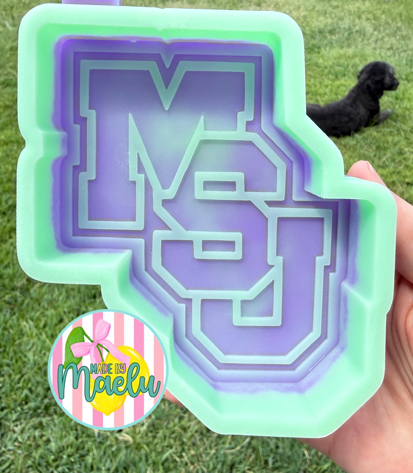 MSU Freshie Mold | silicone freshie mold | 347