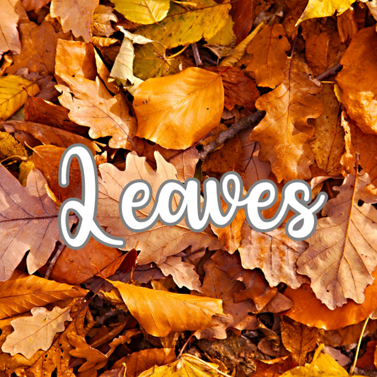 Leaves | 1 pound | Scented Aroma Beads