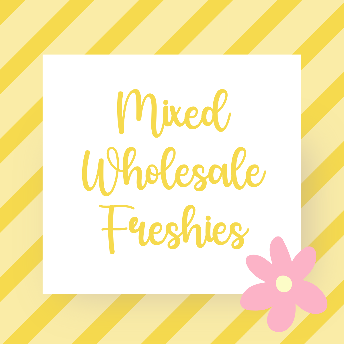 Mixed Wholesale Freshies